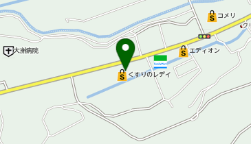 くすりのレデイ 西大洲店の地図画像