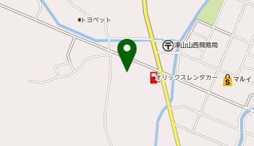 くすりのレデイ津山高野店の地図画像