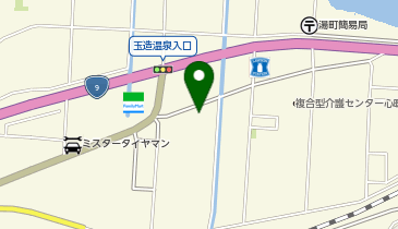 ウェルネス 玉湯店の地図画像