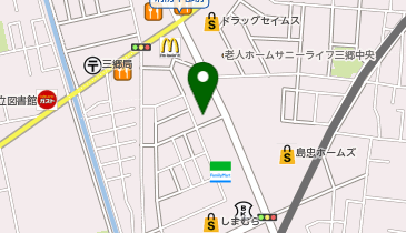 ドミノ・ピザ 三郷中央店の地図画像