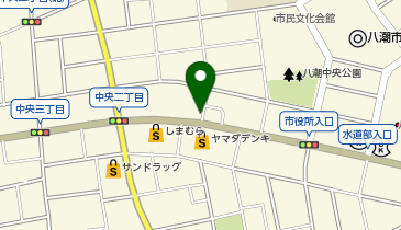 ドミノ・ピザ Domino'sPizza八潮の地図画像