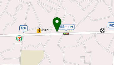 ドミノ・ピザ Domino'sPizza辻堂の地図画像