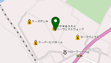RIM おやまゆうえんハーヴェストウォーク店の地図画像