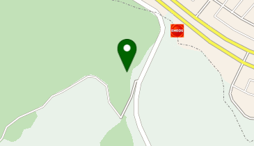 【西日本フリート】 エネオス セルフ南野SSの地図画像