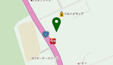 ゲオ 滝沢巣子店の地図画像