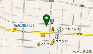 文真堂書店ゲオ新井店の地図画像