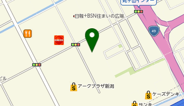 DAISO アークプラザ新潟店の地図画像