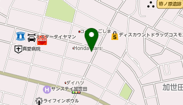 DAISO 鹿児島加世田店の地図画像