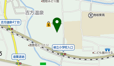 DAISO 鳥取立川店の地図画像