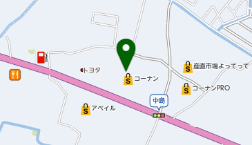 DAISO ホームセンターコーナン岩出店の地図画像