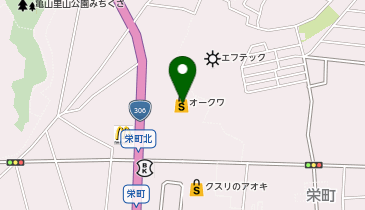 DAISO オークワかめやま店の地図画像