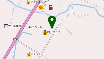 DAISO イオン村上東店の地図画像