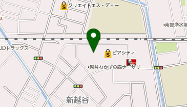 DAISO ピアシティ南越谷店の地図画像