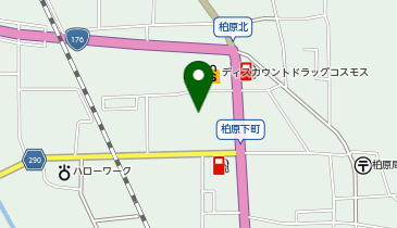 DAISO 柏原パーク店の地図画像