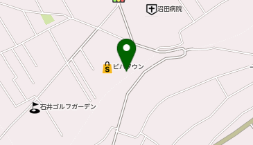 DAISO ベルク沼田店の地図画像