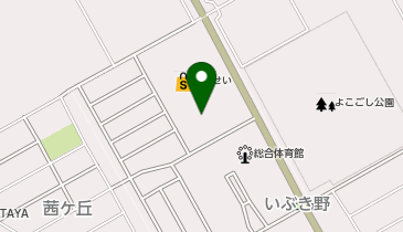 DAISO ひらせい横越店の地図画像