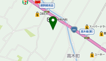 DAISO 府中高木店の地図画像