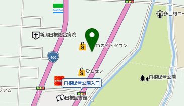 DAISO ひらせい白根バイパス店の地図画像