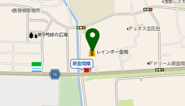 DAISO レインボー金岡店の地図画像