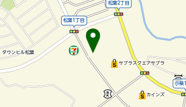 Standard Products 竜ケ崎サプラ店の地図画像