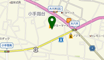 DAISO マミーマート所沢山口店の地図画像
