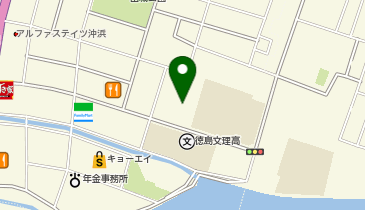 DAISO 徳島山城店の地図画像