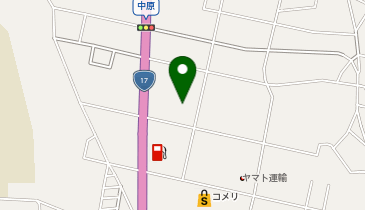 DAISO 新潟魚沼店の地図画像