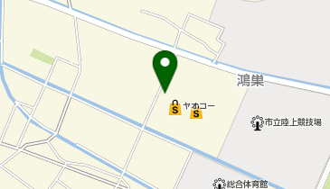 DAISO ヤオコー鴻巣免許センター前店の地図画像