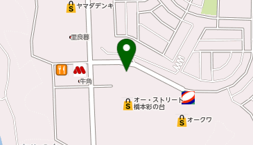 DAISO オーストリート橋本あやの台店の地図画像