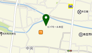 Standard Products ビバモール本庄店の地図画像
