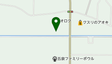 ザ・ダイソー HIRASEI遊五泉店の地図画像