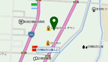 ザ・ダイソー THREEPPY ひらせい白根バイパス店の地図画像