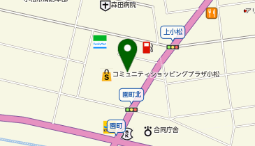 ロッテリア アルプラザ小松店の地図画像