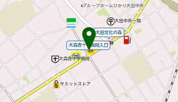 ほっともっと 大田中央店の地図画像