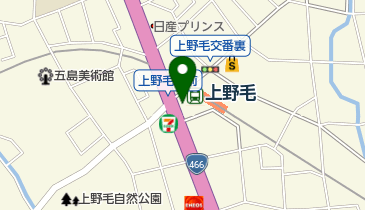 カレーハウスCoCo壱番屋 東急上野毛駅前店の地図画像