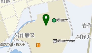 カレーハウスCoCo壱番屋 愛知医科大学店の地図画像