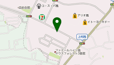 眼鏡市場 堺鳳店の地図画像