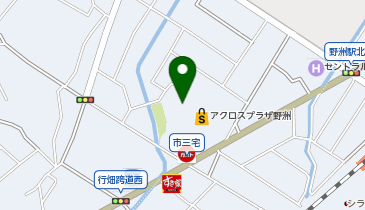 西友 野洲店の地図画像