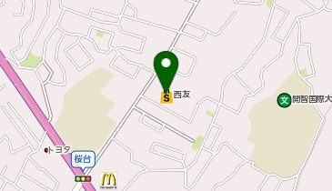 西友 柏東店の地図画像