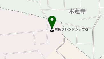 ゴルフパートナー 青梅フレンドシップゴルフ店の地図画像