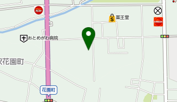 ゴルフパートナー ヴィクトリアゴルフ水沢店の地図画像