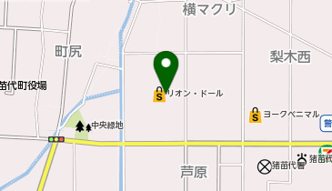 TSUTAYA 猪苗代店の地図画像