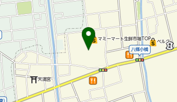 ドラッグストア マツモトキヨシ 八潮伊草店の地図画像