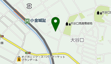ドラッグストア マツモトキヨシ 松戸大金平店の地図画像