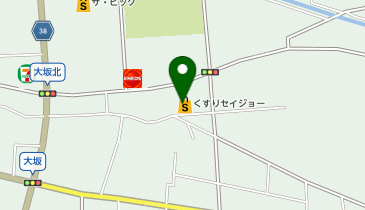 くすりのセイジョー 大東店の地図画像