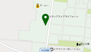 ドラッグストアライフォート 尾上店の地図画像