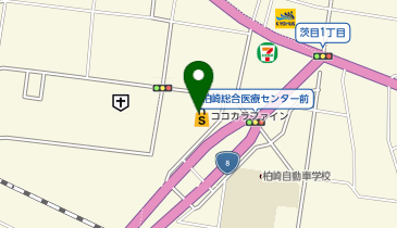 ココカラファイン 柏崎茨目店の地図画像