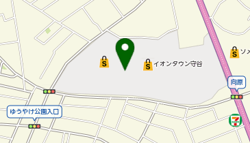 ココカラファイン イオンタウン守谷店の地図画像