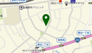 三井のカーシェアーズ リパーク川崎鷺沼1丁目第3(自転車可)の地図画像