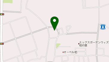 ウィズ・ユー柏高田の地図画像